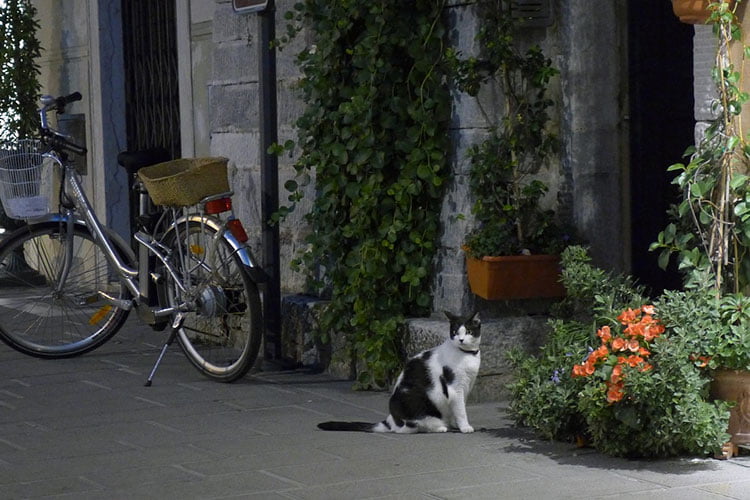 Excursiones desde Roma